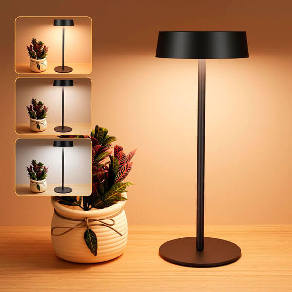 Lámpara solar de mesa Suright